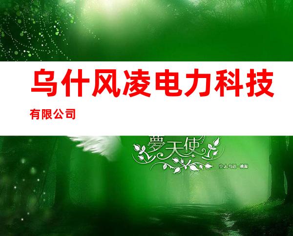 乌什风凌电力科技有限公司